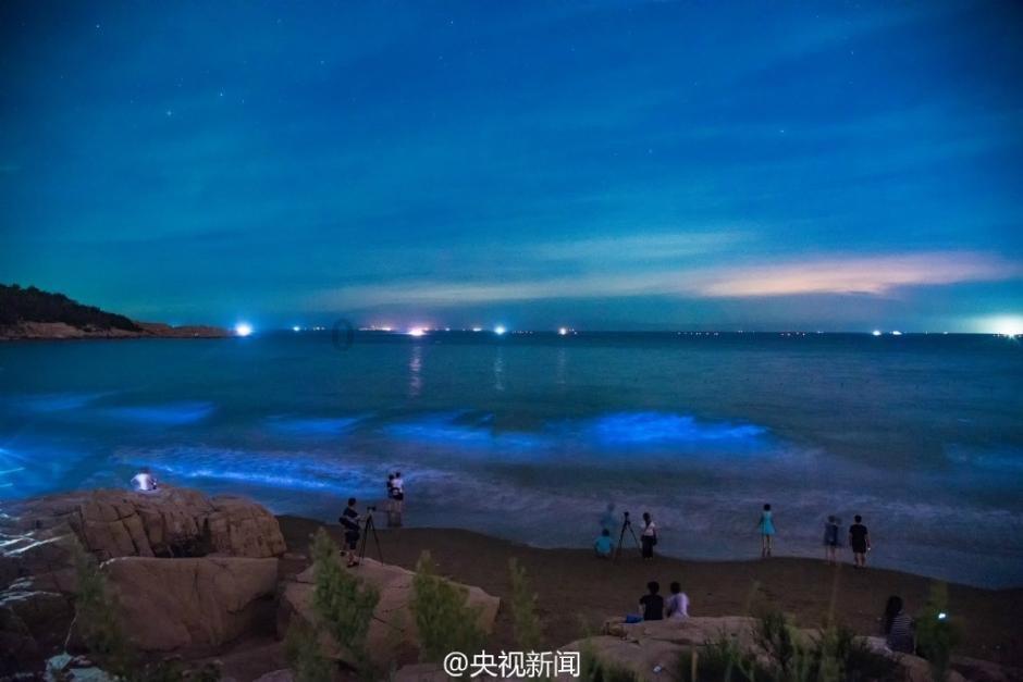 救援有趣的狮子