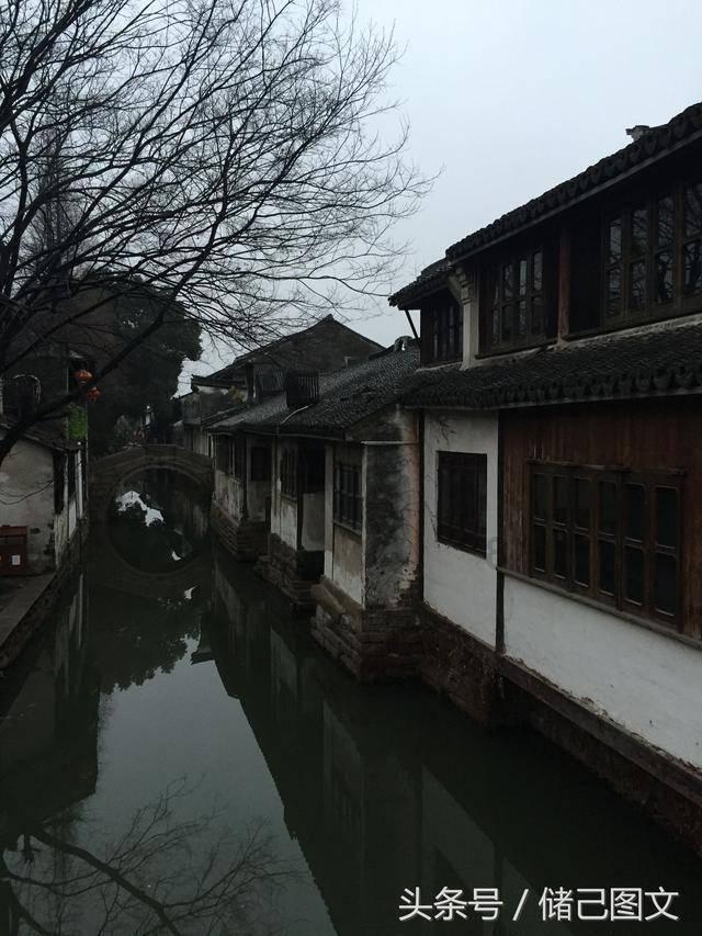 逃离诡异的森林